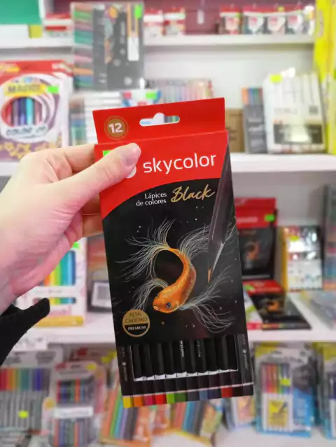 Lápices de Colores Alta Calidad X12 - SkyColor Black
