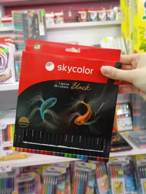 Lápices de Colores Alta Calidad X48 - SkyColor Black