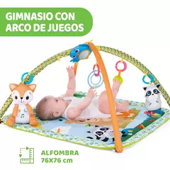 Gimnasio Magic Forest - comprar online