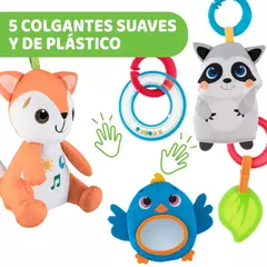 Imagen de Gimnasio Magic Forest
