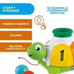 Tortuga Clasificadora - comprar online