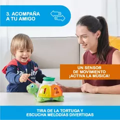 Tortuga Clasificadora - tienda online