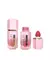 Blush líquido pink 21