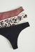 Bombacha Cola Less Algodon Lycra Pack x 3 (53797 SOL Y ORO) en internet