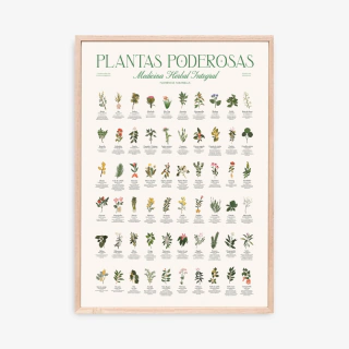 Lámina Plantas Poderosas