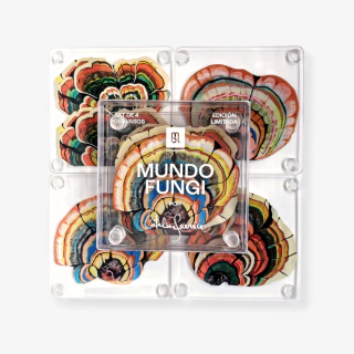Set Posavasos Mundo Fungi