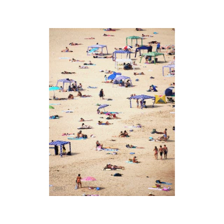 Lámina Historias de verano