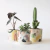 Maceta con plato Happimess - comprar online
