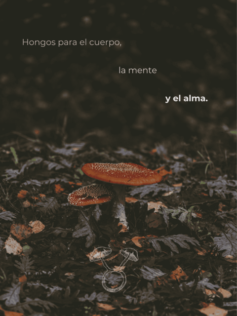 Carrusel 1