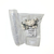 Enigma - Cogumelo Psilocybe Cubensis 1g