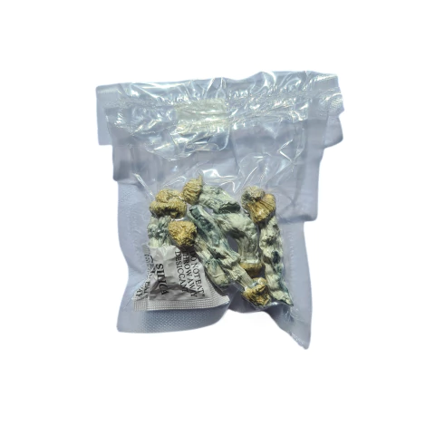 Shakti - Cogumelo Psilocybe Cubensis 3g - comprar online