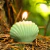 Velas