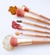 Kit Pincéis C/6 Alleva - comprar online