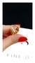 Anillo Inicial Bing - comprar online