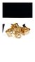 Anillo Inicial Bing