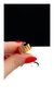 Imagen de Anillo Inicial Bing