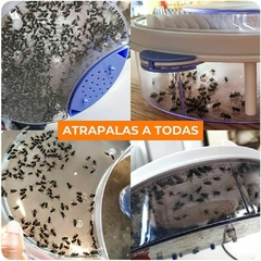 Atrapa Moscas Alegre 2x1 - tienda online