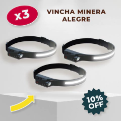 Vincha Minera Alegre® en internet