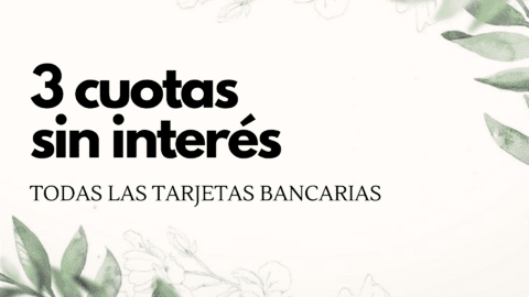Imagen del carrusel Pranna