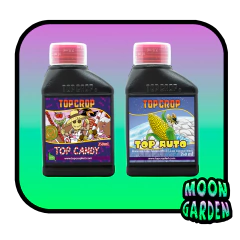 Combo base Automaticas Top Crop