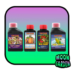 Combo Auto Top Crop 3