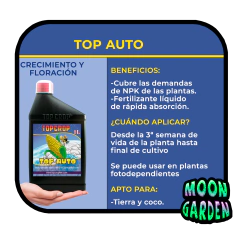 Combo Auto Top Crop 3 - Moon Garden