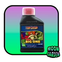 Big One 250 ml - comprar online