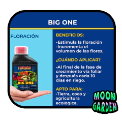 Combo Auto Top Crop 2 - comprar online