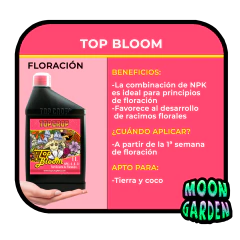 Top Bloom 1 Lts en internet