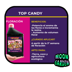 Combo top bloom y top candy 1L en internet