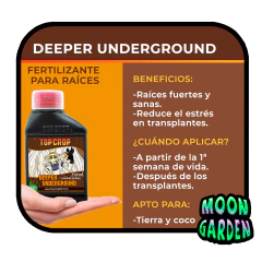 Combo Chico Linea Completa Top Crop