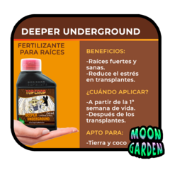 Deeper Underground 100 ml en internet