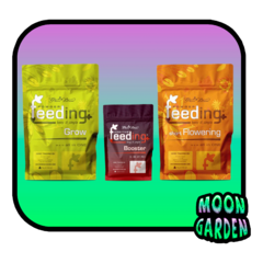 Kit completo Powder feeding grow 125g, short 125g, boost 50g