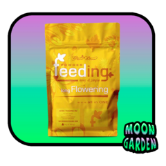 Powder feeding Long 125g - comprar online