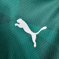 Camisa Palmeiras Home 23/24 - Feminina Puma - Verde - loja online