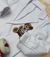 Blazer Branco Moletom Urso Ted Bear Infantil Bebê Índigo Trend - comprar online