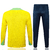 Conjunto de Treino Brasil 24/25 - Nike - Jaqueta Amarela com Verde e Calça Azul - comprar online