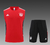 Conjunto de Treino Verão Bayern de Munique 22/23 - Camisa e Calção - Torcedor Masculino - Adidas - Vermelho e Preto - comprar online