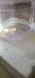 Panela para Sopa Vidro Borossilicato com Tampa - loja online