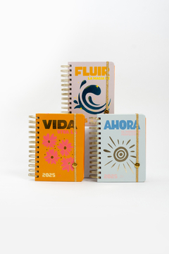 Agenda Fw Inspire Diaria C/ Espiral 17X12 2025