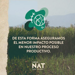 Imagen de Resma Ledesma Nat Papel Natural