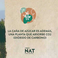 Resma Ledesma Nat Papel Natural
