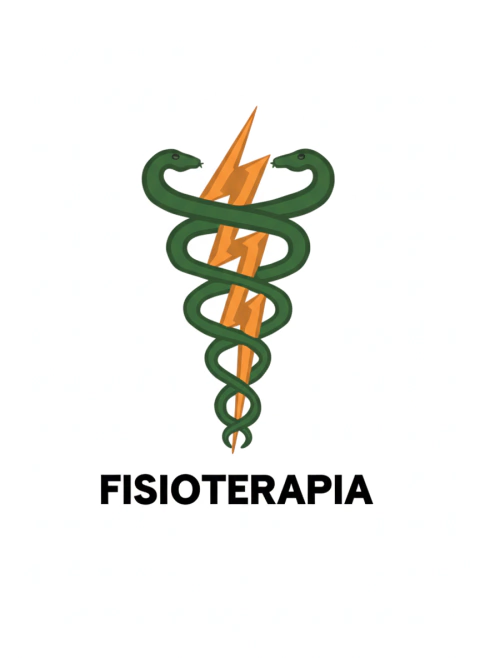 Bordado de Fisioterapia - comprar online