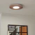 Plafon De Madera Lenga Led Eye Chb - tienda online