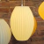 Lampara Colgante 3d Diseno Exclusivo Shola Oval CHB