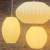 Lampara Colgante 3d Diseno Exclusivo Shola Oval CHB - comprar online
