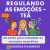 Regulando as Emoções no TEA – 40 Cards Terapêuticos em PDF na internet