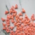 Sprinkles Granas Flamenco Rosa x 50 gr PASTELAR