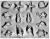 Animales Marinos x 14 - Molde Placa Acetato