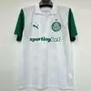 CAMISETA SUPLENTE PALMEIRAS 25/26